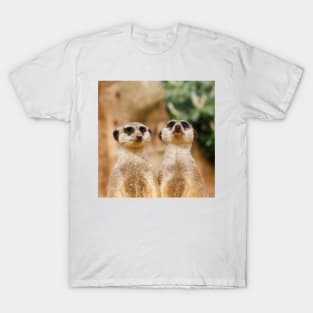 Meerkat 017 T-Shirt